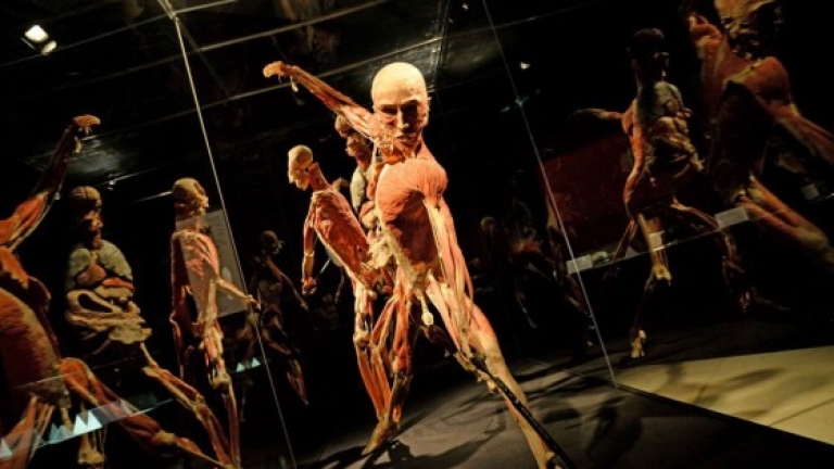 Body Worlds