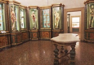 musei-bologna-appuntamenti-guida-turistica