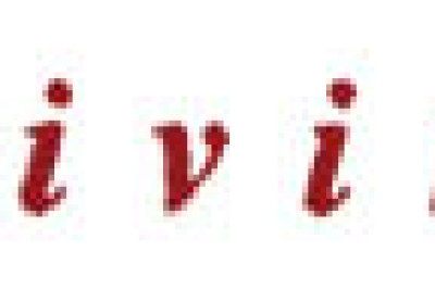 divinis logo