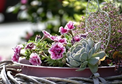 giardini-e-terrazzi-bologna-estate