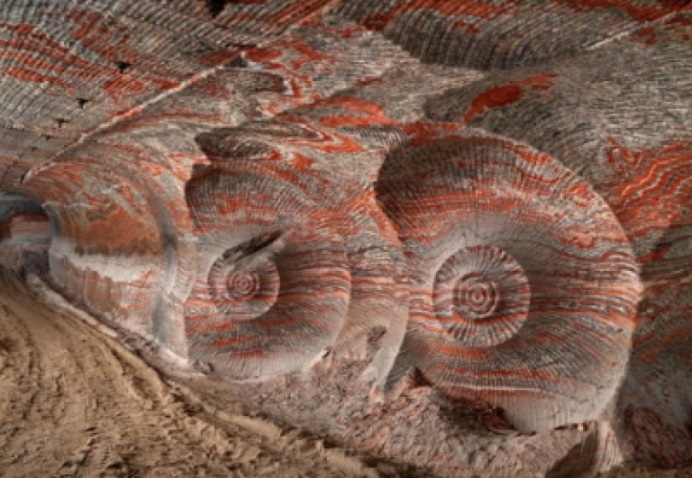 mostra-anthropocene-bologna-guida