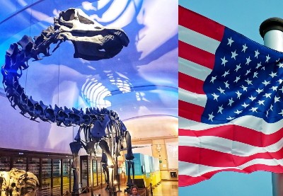 museo-dinosauro-bologna-guida-turistica