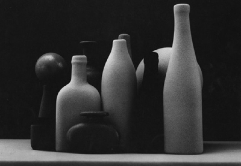 mostra-museo-morandi-bologna-promoguida