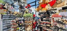 La bottega IMG_3334 2