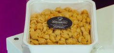 Manicaretti