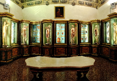 famiglie-al-museo-guida-di-bologna-turismo-2019